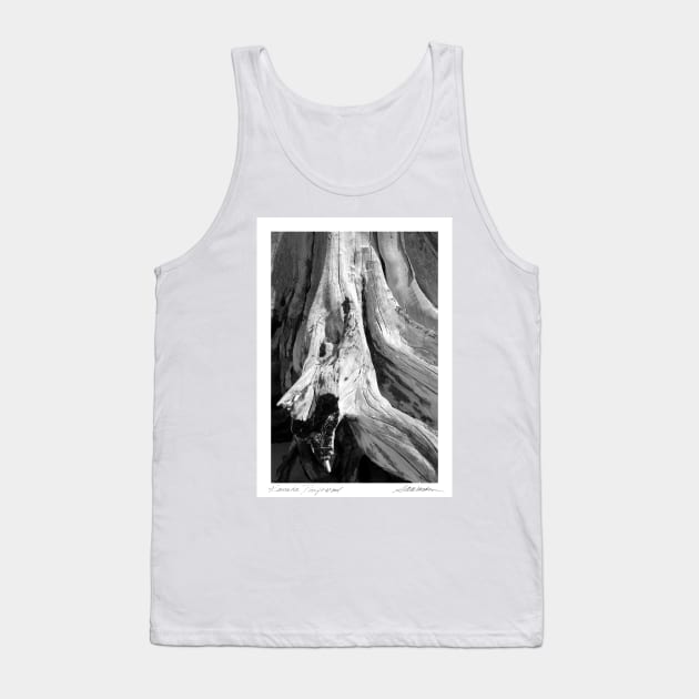 Kanaha Driftwood Tank Top by srwdesign